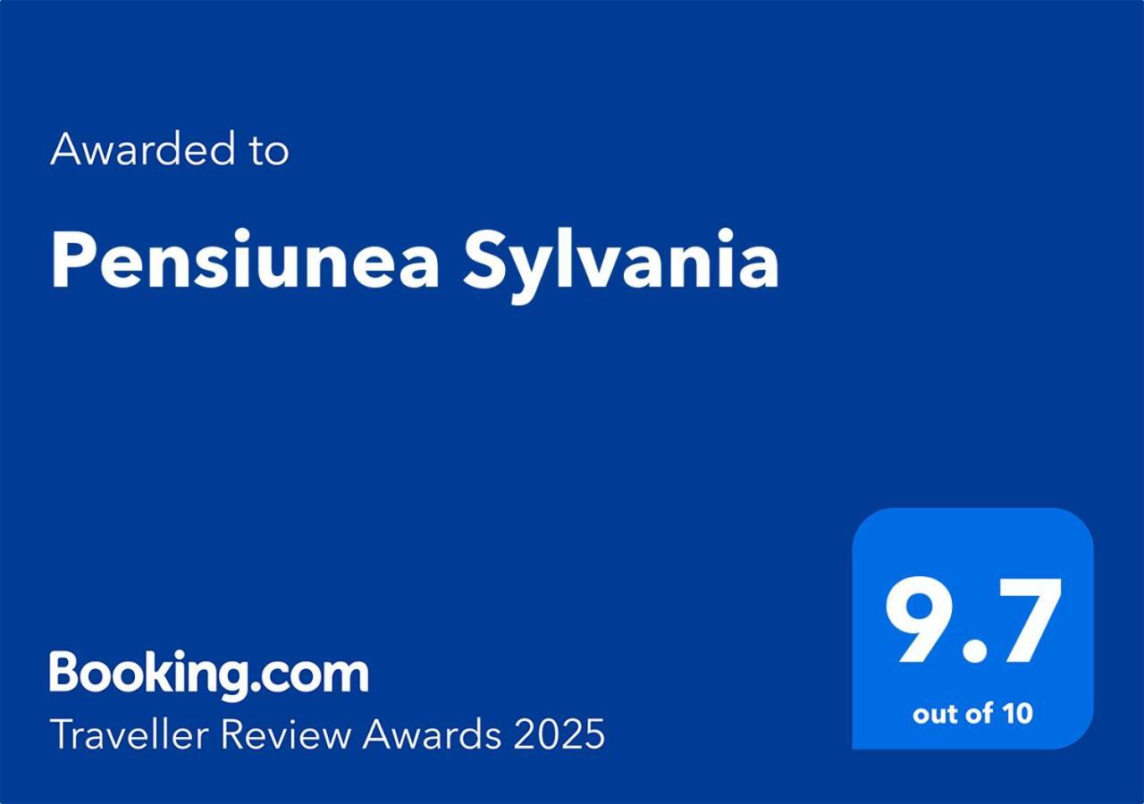 Pensiunea Sylvania Sovata Exteriér fotografie